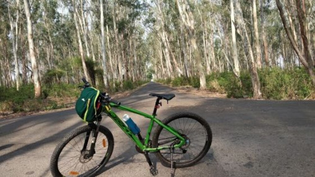 Bir Shikargah Wildlife Sanctuary-4